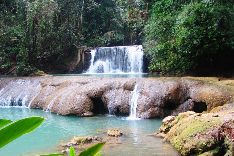 Excursión a Río Negro y Cataratas YS - Galería 1