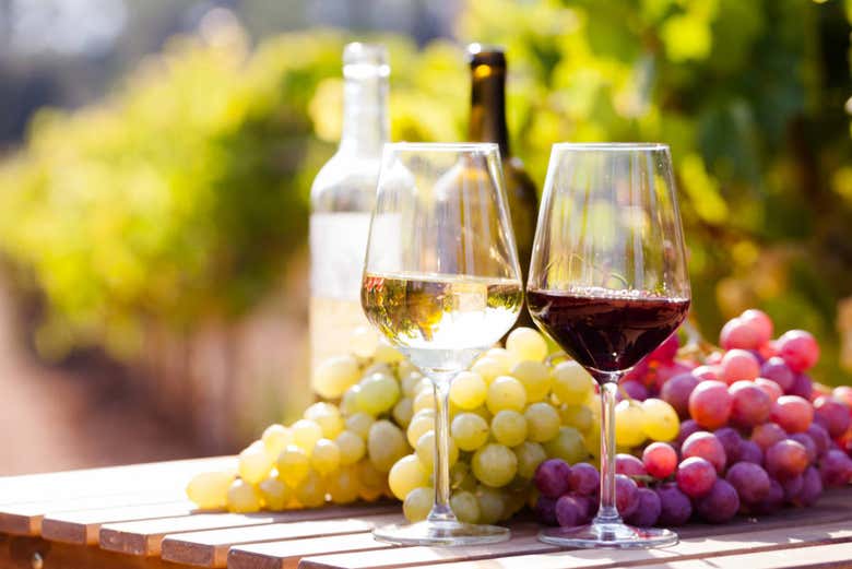 Tour de viñedos y bodegas por el norte de Georgia