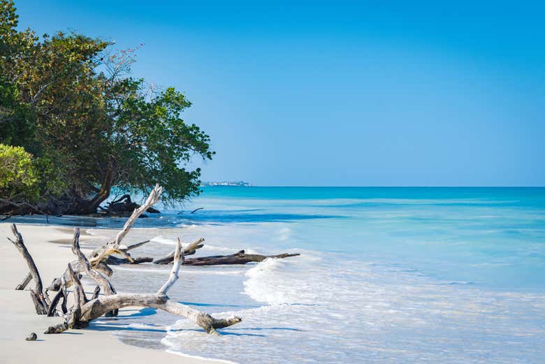 Excursión a Negril + Paseo en catamarán - Galería 1