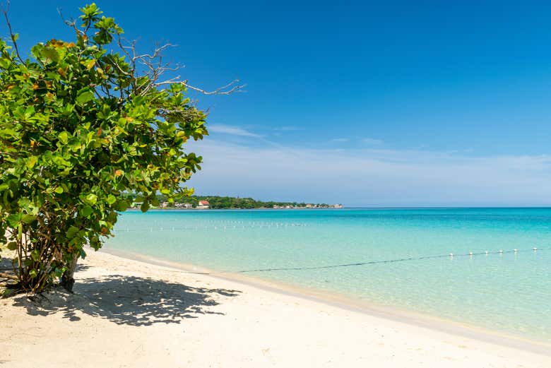 Excursión a Negril + Paseo en catamarán