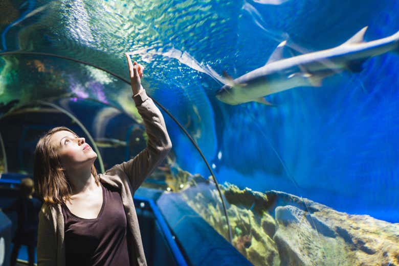 Entrada al Aquarium Costa de Almería