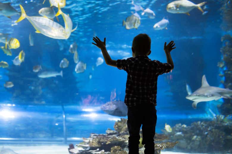 Entrada al Aquarium Costa de Almería