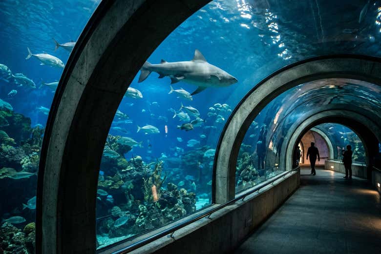 Entrada al Aquarium Costa de Almería