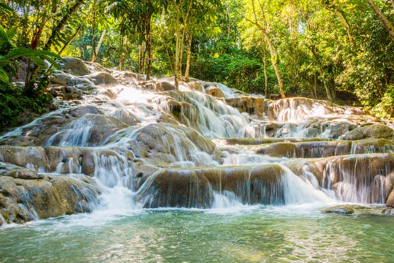 Excursión a las cascadas del río Dunn - Galería 2