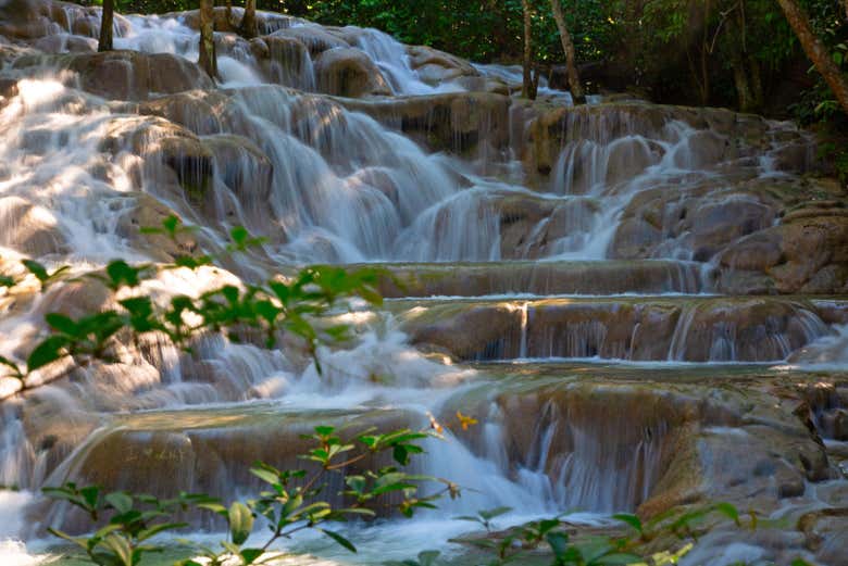Excursión a las cascadas del río Dunn