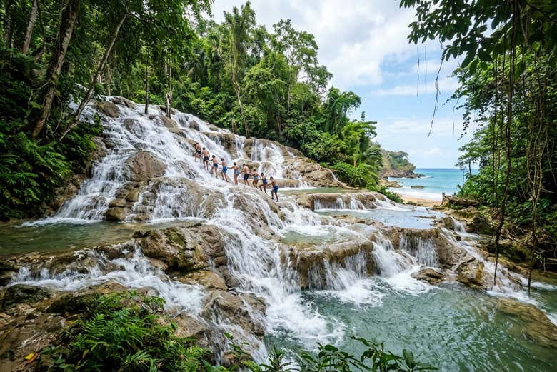 Excursión a las cascadas del río Dunn - Galería 2
