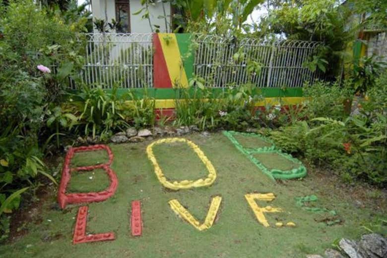 Tour de Bob Marley + Cascadas del río Dunn - Galería 2