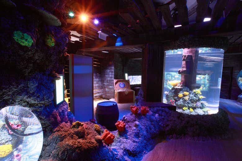 Entrada a SEA LIFE® Oporto