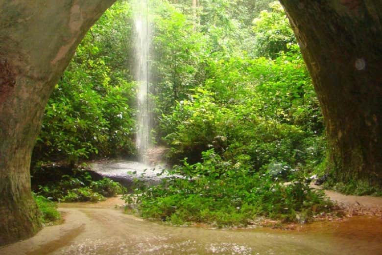 Excursión a las cataratas de Presidente Figueiredo