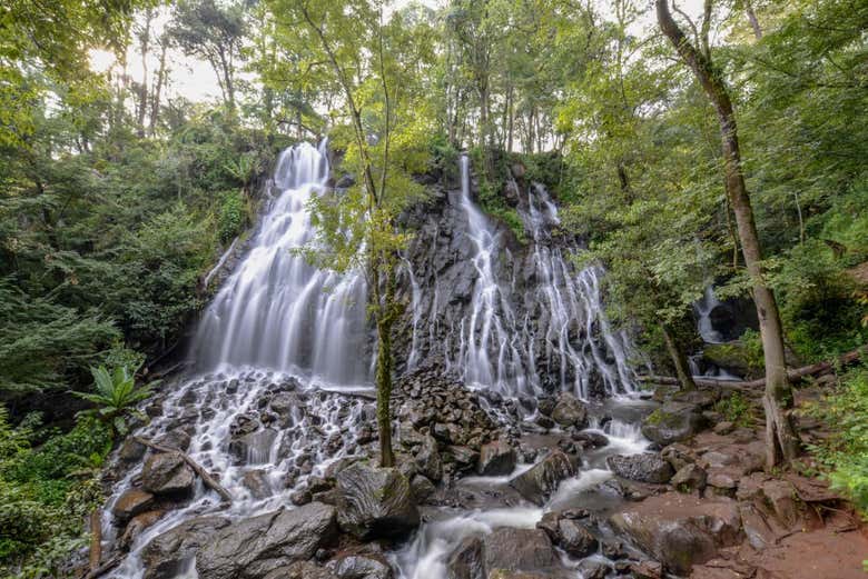 Excursión a la cascada Cola de Caballo y Santiago - Galería 1