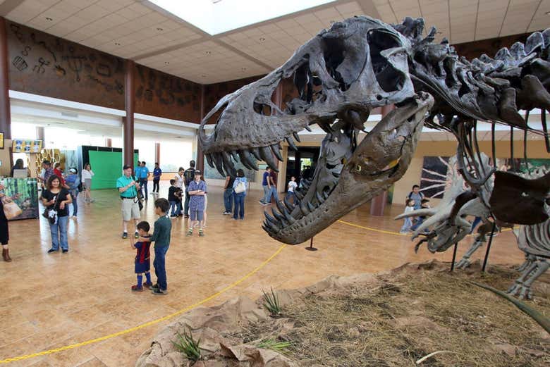 Excursión al Museo del Desierto