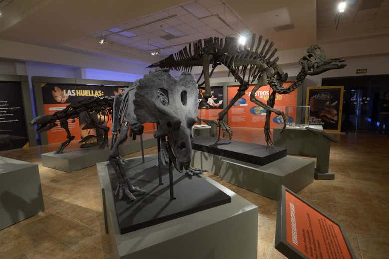 Excursión al Museo del Desierto - Galería 1