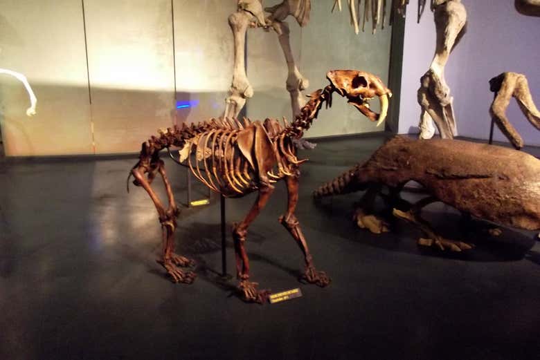 Excursión al Museo del Desierto - Galería 2