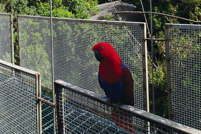 Excursión a Pomaire y el Parque Tricao - Galería 1
