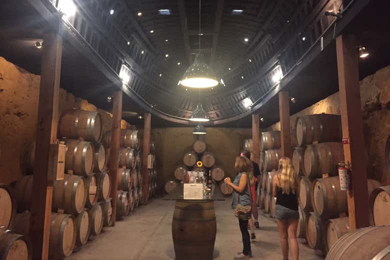 Ruta del vino por el Valle de Guadalupe