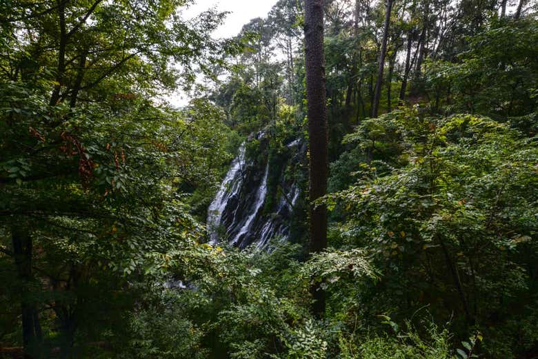 Excursión a Valle de Bravo