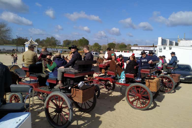 Paseo privado en carreta por los alrededores de Doñana y El Rocío