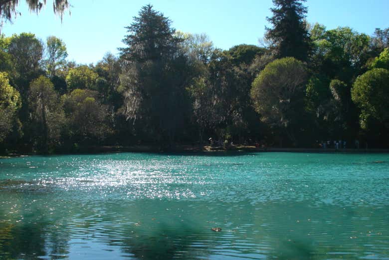 Excursión a Real del Monte y los Prismas Basálticos