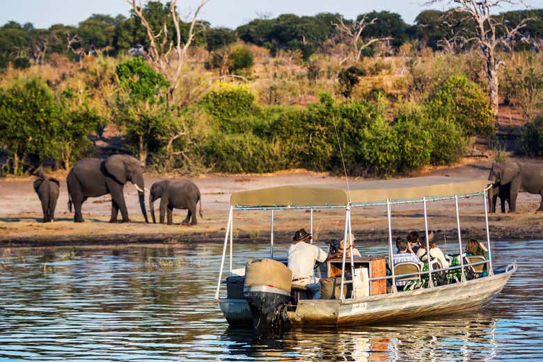 Excursión al Parque Nacional Chobe