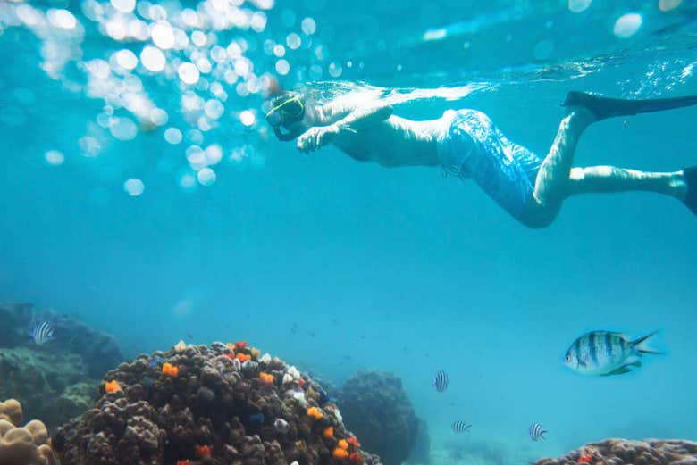 Snorkel en Koh Chang