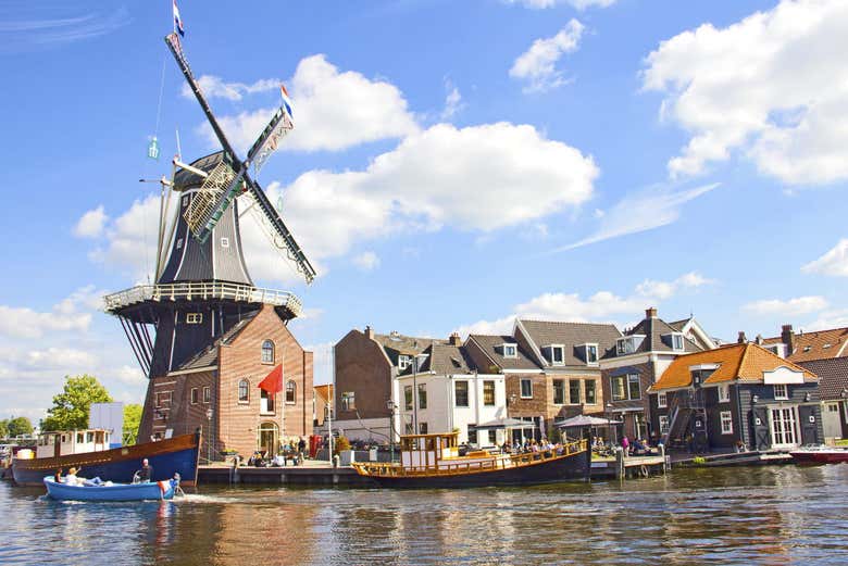 Free tour por Haarlem