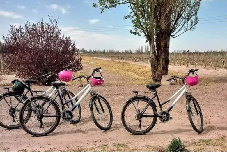 Alquiler de bicicleta en Maipú