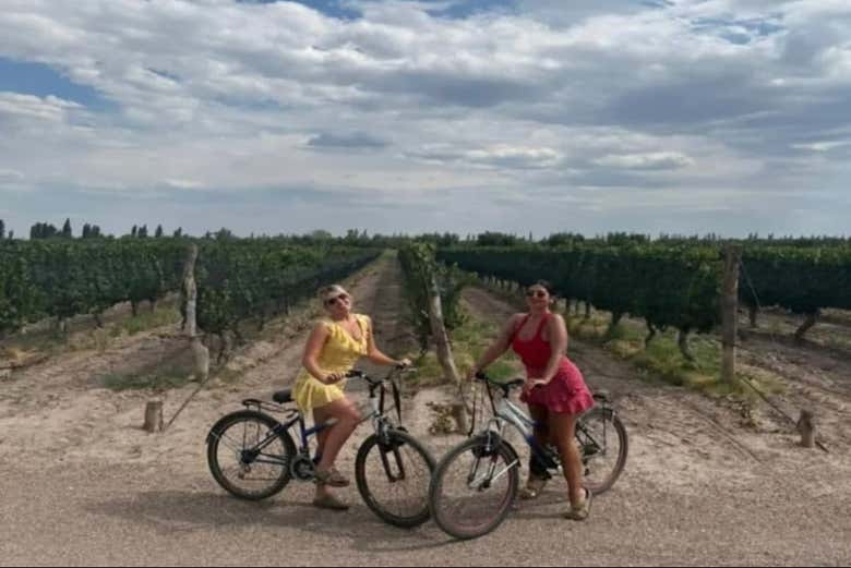 Alquiler de bicicleta en Maipú