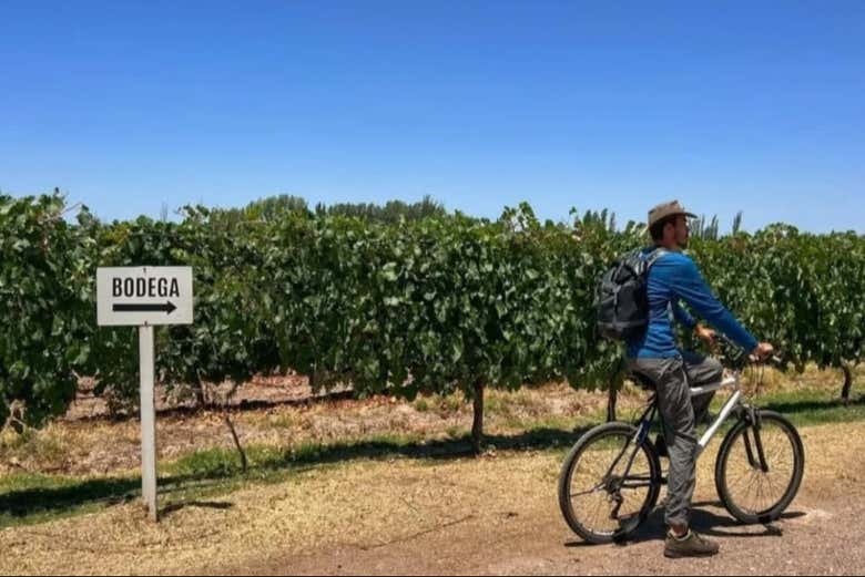 Alquiler de bicicleta en Maipú