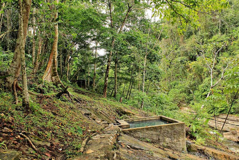 Excursión a Chazuta - Galería 2