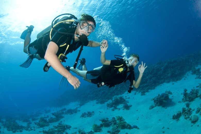 Curso de buceo PADI Open Water