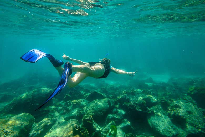 Curso de buceo PADI Open Water