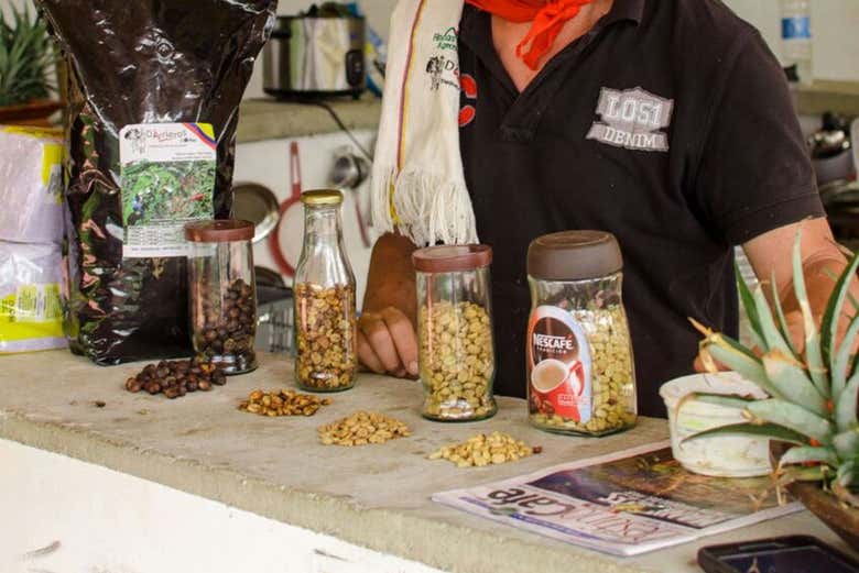 Tour del café por la finca De Arrieros