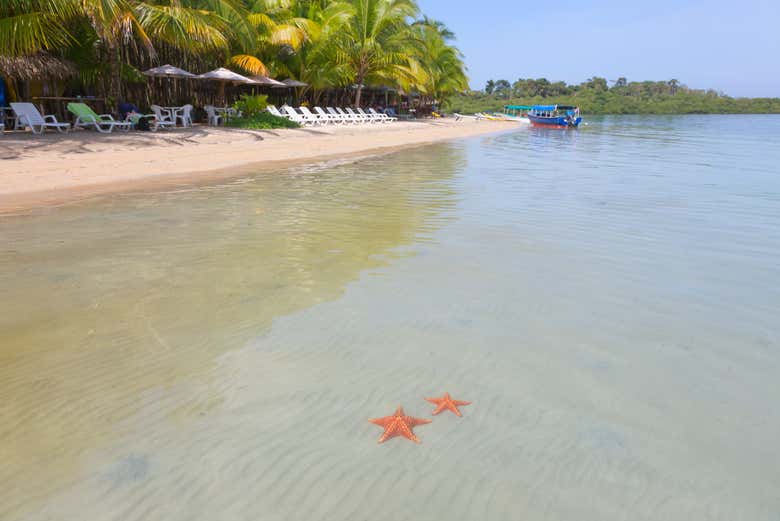 Excursión a Playa Estrella y la Isla Pájaros
