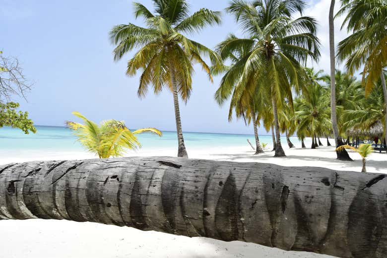 Excursión a isla Saona en catamarán - Galería 2