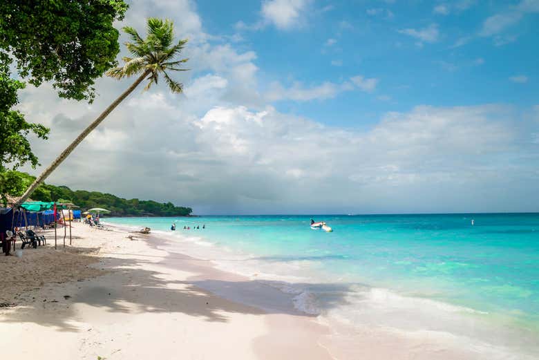 Excursión a las islas del Rosario