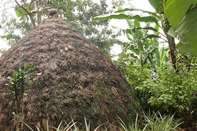Excursión a Marangu