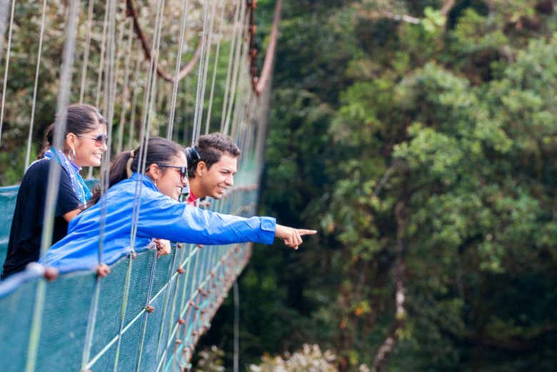 Tour por los puentes colgantes del Bosque Nuboso Monteverde