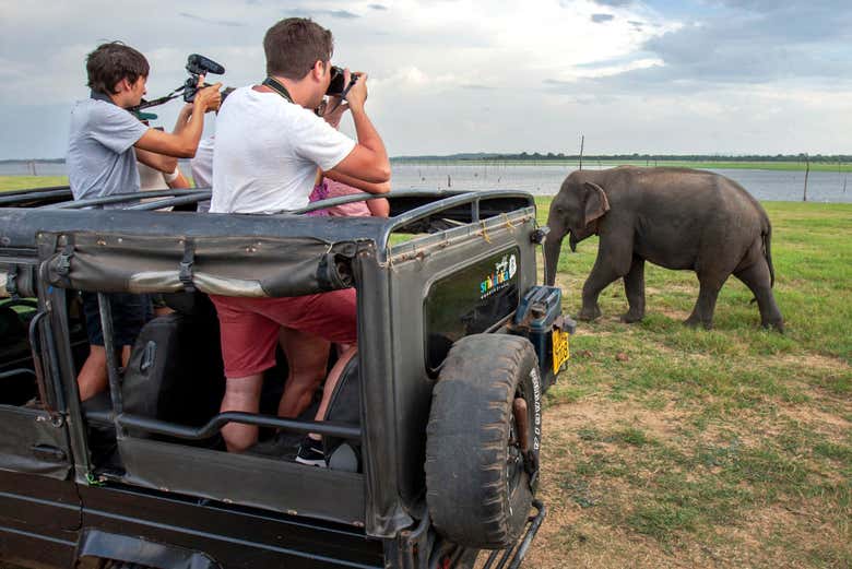 Safari privado por el Parque Nacional de Kaudulla