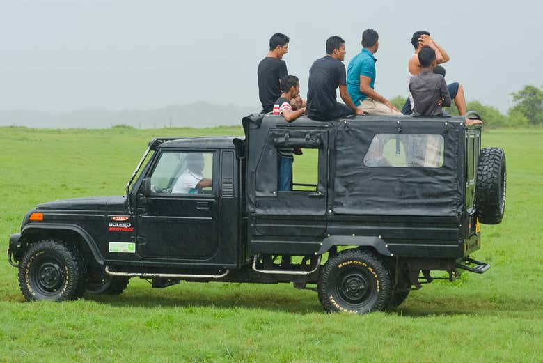 Safari privado por el Parque Nacional Wilpattu