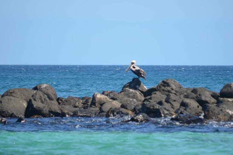 Tour por las playas de la Isla de San Cristóbal - Galería 1
