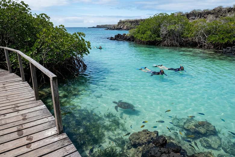Excursión a la bahía Concha Perla