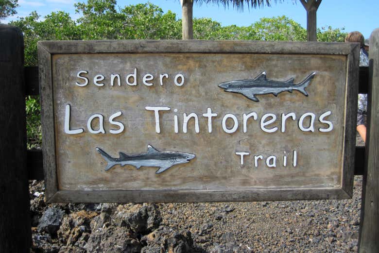 Excursión a Las Tintoreras