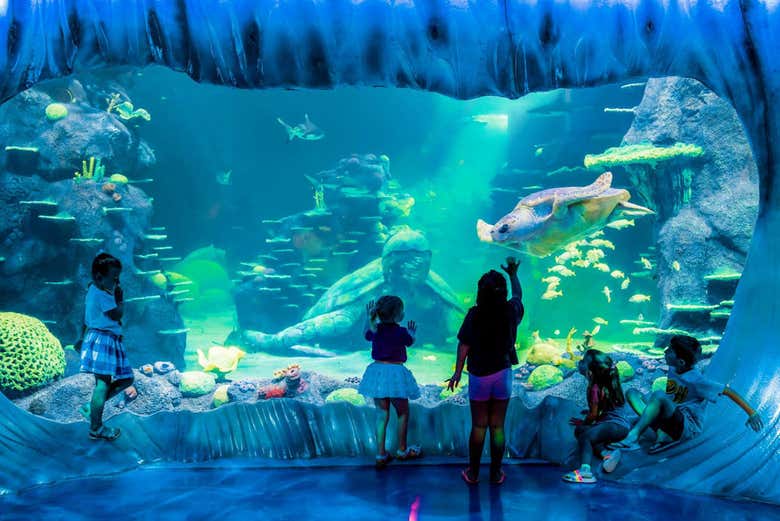 Entrada al SEA LIFE® Sídney