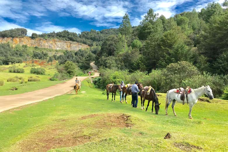 Paseo a caballo por las comunidades indígenas de Chiapas