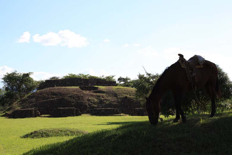 Paseo a caballo por las comunidades indígenas de Chiapas
