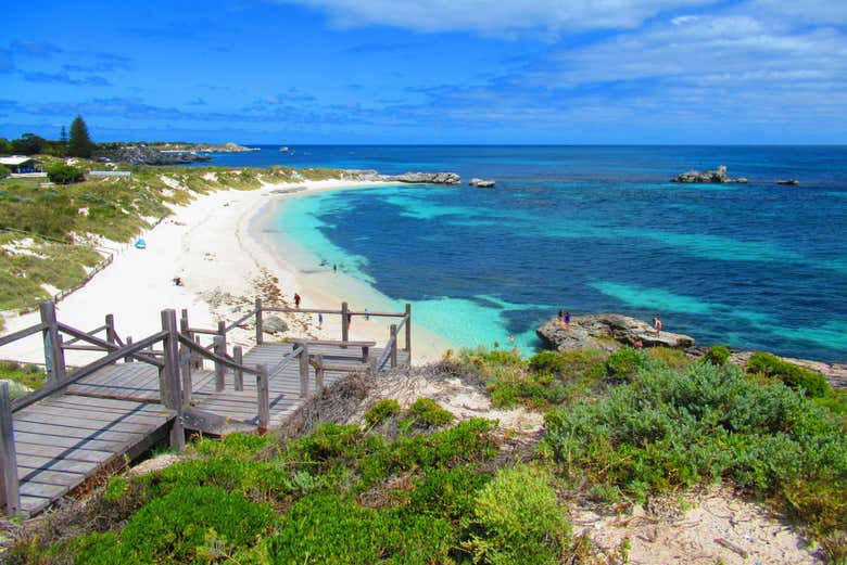Ferry a la isla de Rottnest
