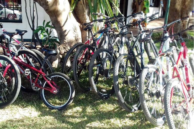 Tour por Victoria Falls en bicicleta