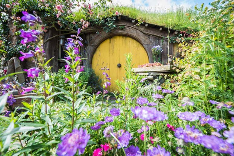 Excursión a Hobbiton y Rotorua - Galería 1