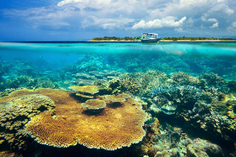 Traslado hasta las Islas Gili en lancha rápida