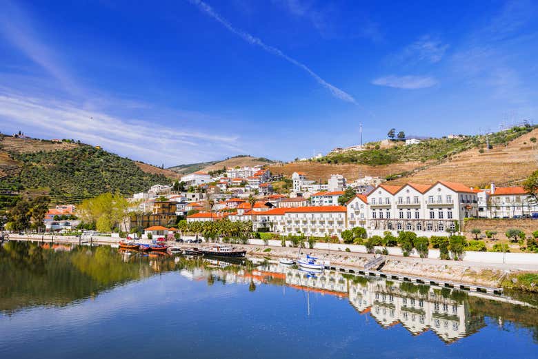 Tour de viñedos y bodegas por el Valle del Duero - Galería 1